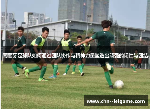 葡萄牙足球队如何通过团队协作与精神力量塑造出顽强的韧性与团结