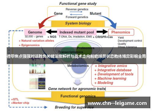 德甲焦点强强对话胜负关键深度解析与战术走向前瞻球员状态教练博弈影响全局 德甲焦点强强对话胜负关键深度解析与战术走向前瞻球员状态教练博弈影响全局